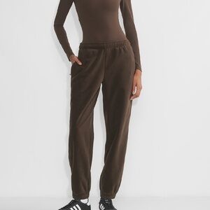 aritzia golden basecamp polartec fleece sweatpant in rich mocha brown